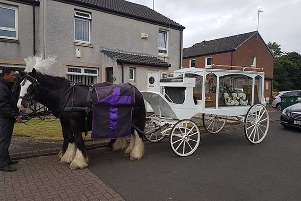 horse drawn funeral hearses