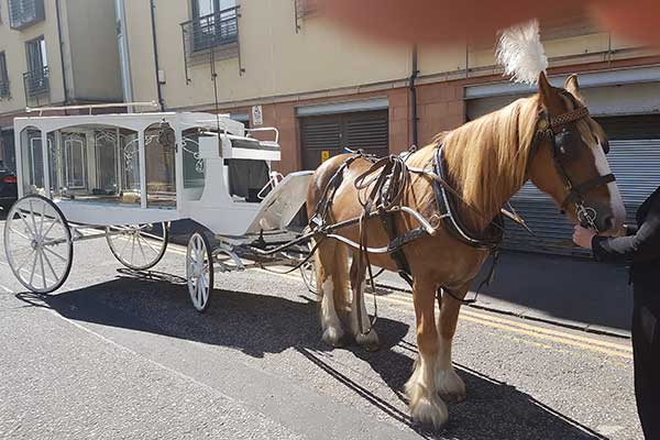 horse drawn funeral hearses