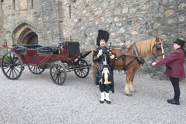 horse drawn wedding carriages